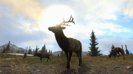Cabela's Big Game Hunter: Pro Hunts (2014)